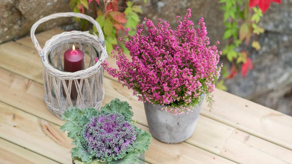 - Vi har aldri opplevd en slik terrasseboom som dette